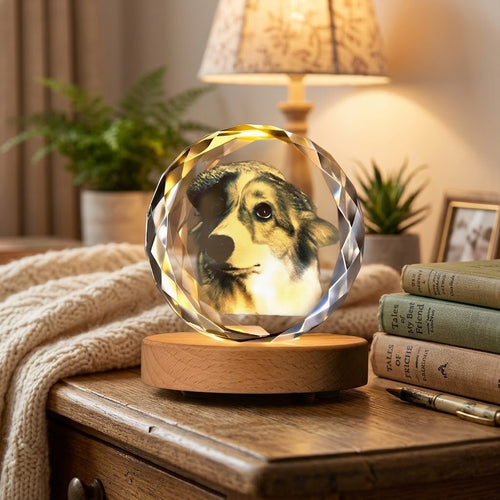 Personalized Crystal Pet Photo Night Light | Custom Heart  & Round Photo Crystal Lamp with LED Wood Base |